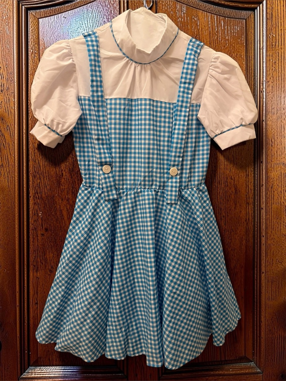 Women’s Dorothy Halloween Costume EUC